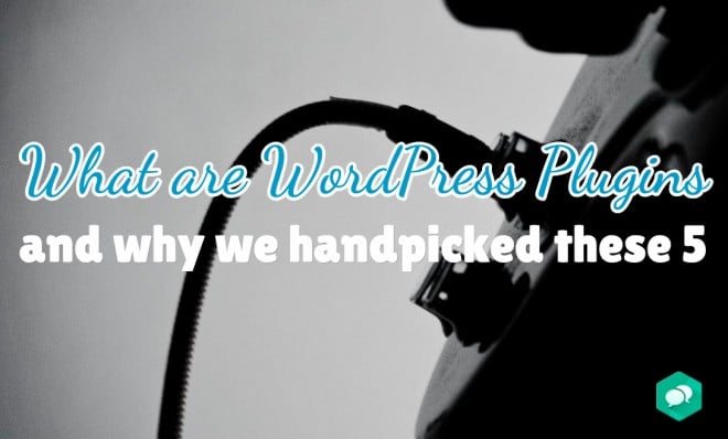 What are wordpress plugins