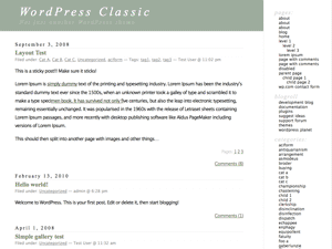 WordPress Classic Theme